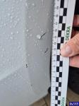 Ford Transit Custom 300 L2H1 Trend Aukcja 323017 - grafika 61