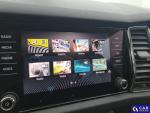 Skoda Kodiaq GD406YR Aukcja 323138 - grafika 59