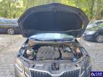 Skoda Octavia III 2.0 TDI-CR MR`18 E6 Aukcja 324039 - grafika 15