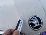Skoda Octavia 1.6 TDI-CR MR`18 E6 Aukcja 324554 - grafika 31