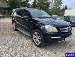 Mercedes-Benz GL 450 MR`10 E5 X164 Aukcja 324564 - grafika 2