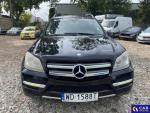 Mercedes-Benz GL 450 MR`10 E5 X164 Aukcja 324564 - grafika 5