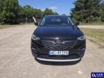 Opel Grandland X Grandland X 1.2 T GPF Desig... Aukcja 324881 - grafika 3