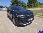 Opel Grandland X Grandland X 1.2 T GPF Desig... Aukcja 324881 - grafika 4
