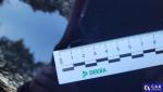 Volkswagen Passat 2.0 TSI BMT Highline D... Aukcja 325141 - grafika 59