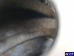Renault Kangoo dCi MR`03 E3 1.9t Aukcja 325688 - grafika 16