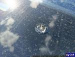 Ford Mustang Basis AWD Aukcja 325870 - grafika 42