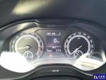 Skoda 100 Karoq 2.0 TDI SCR 4x4 Ambiti... Aukcja 325871 - grafika 16