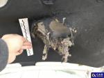 Nissan Qashqai 1.3 DIG-T Tekna DCT Aukcja 326000 - grafika 43